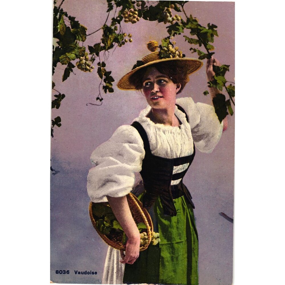 Vintage Swiss Postcard Vaudoise Girl Grapes Hat Basket Phototypie Co Neuchatel